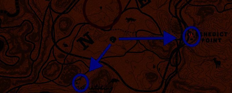 《荒野大镖客2》游戏内商贩送货场景截图