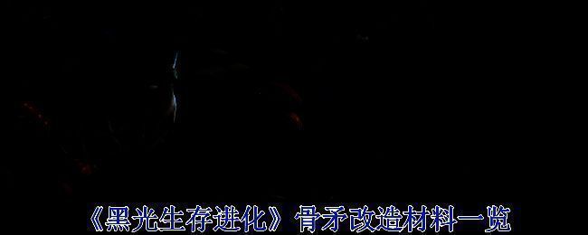 《黑光生存进化》游戏界面截图，展示武器属性信息