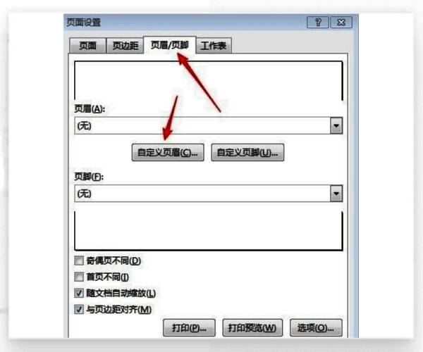 页眉设置界面截图，展示输入框和选项选择区域