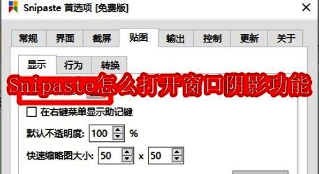 Snipaste软件图标展示