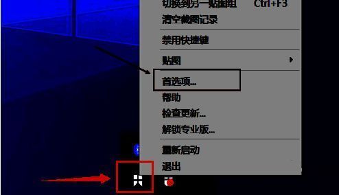 Snipaste首选项界面常规设置选项展示