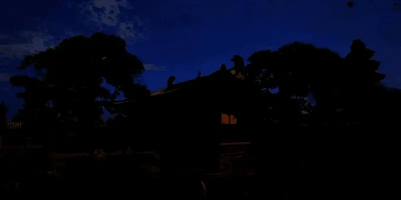 山间亭台近景，植被繁茂，阳光透过枝叶洒落