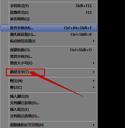 路径文字选项设置界面，包含多个可调节参数