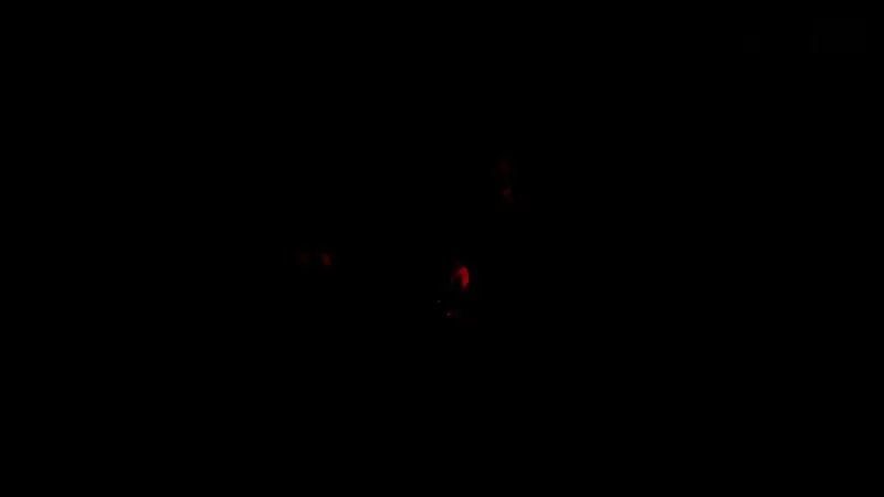 寺庙祈祷场景截图，僧侣信使在佛像前合掌默念，表达对和平的渴望