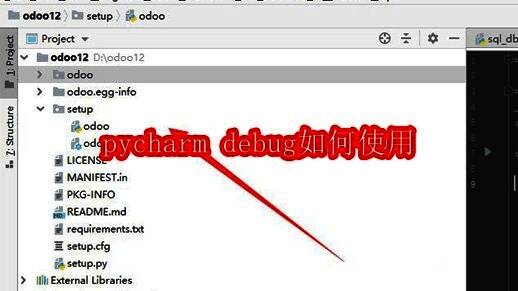 PyCharm专业版开发界面展示，包含代码编辑区和调试控制台