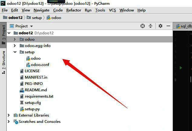 PyCharm项目加载界面示意图，显示文件树状结构和编辑器布局