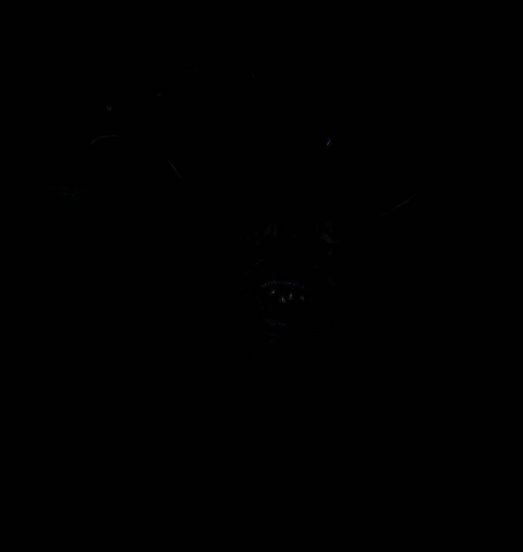 幻魔敌人‘首灯’悬浮于空中，散发青白色光芒，周围漂浮着不明能量弹丸