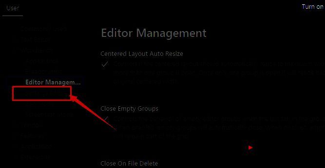 选项勾选示意图，展示已激活状态的切换按钮