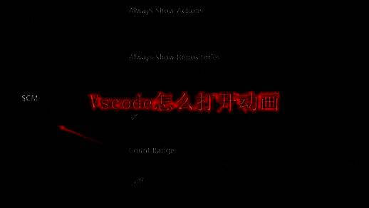 VSCode界面示意图，展示软件主界面及菜单布局