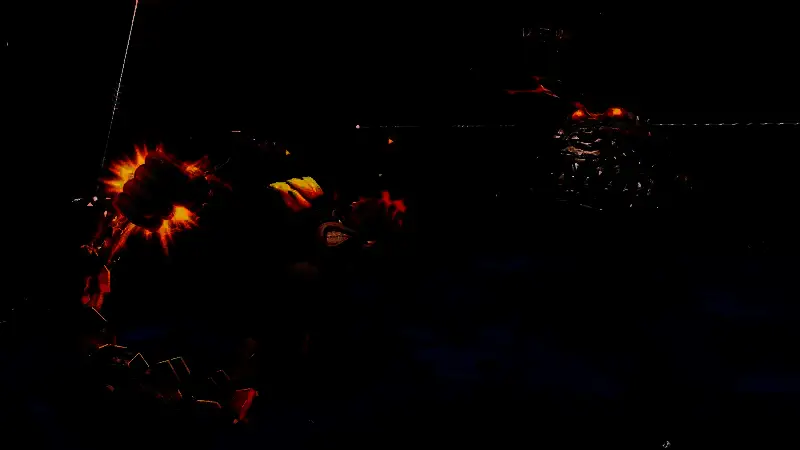 小宝琳攀爬藤蔓，背景是阳光洒落的茂密树冠层，光影效果出色