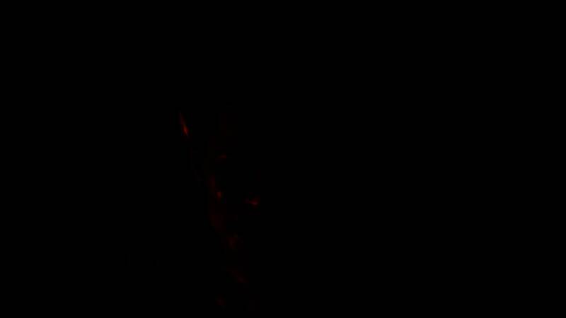 多人合作模式下的队伍战术配合展示