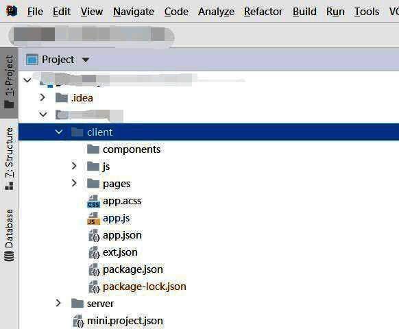 隐藏后的项目结构展示，node_modules已不再显示