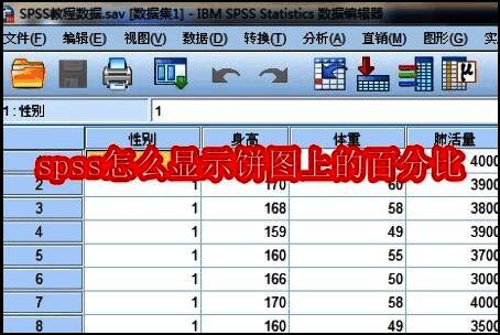 SPSS软件界面展示数据导入操作示意图