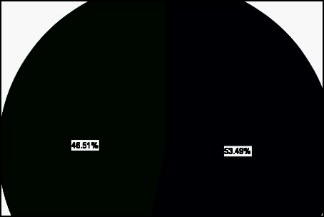 完成百分比设置的饼图最终展示效果预览