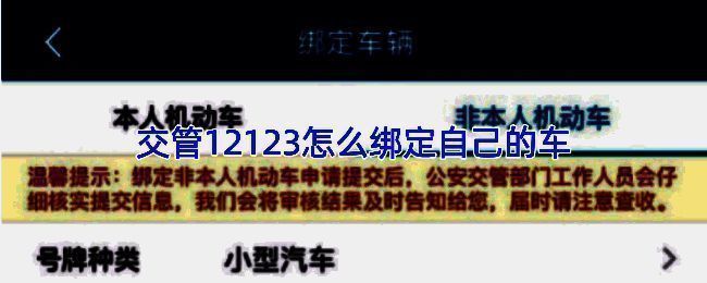 交管12123主界面展示，清晰显示各项功能入口