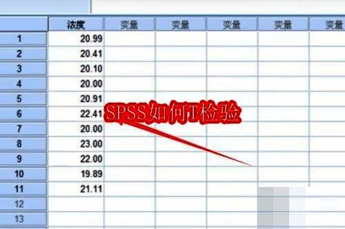 SPSS软件界面展示，左侧为变量视图，右侧为数据视图