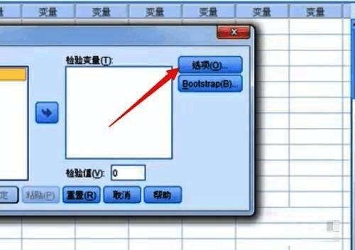 选项设置窗口展示，置信区间百分比输入框已高亮显示