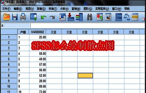 SPSS软件界面展示，数据视图中显示两列变量数据