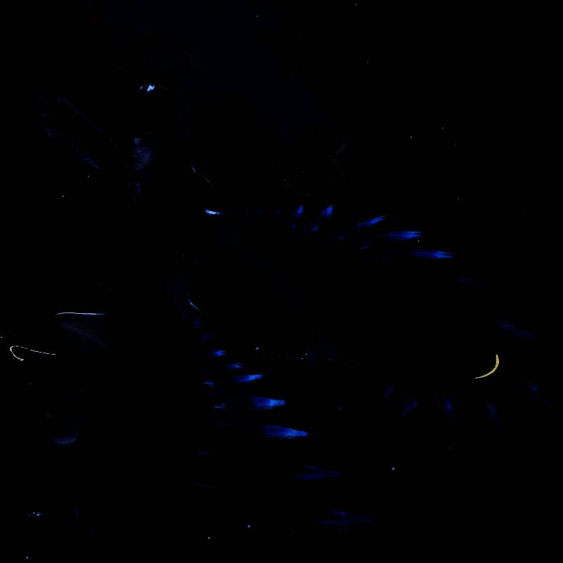 《明末：渊虚之羽》新Boss角色立绘，身着华服，眼神凌厉，背景充满东方暗黑风格