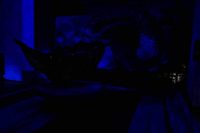 《方舟：夏日海洋》概念图，展示海底世界与潜水设施的设计细节