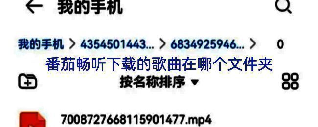 番茄畅听在iOS设备中的音乐库界面展示