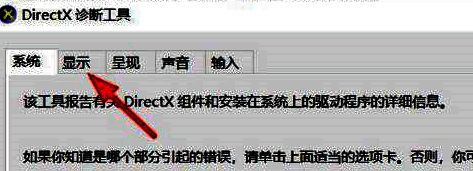 DirectX诊断工具中的显示选项卡界面截图