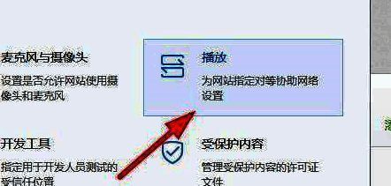 播放选项页面展示，界面清晰便于操作