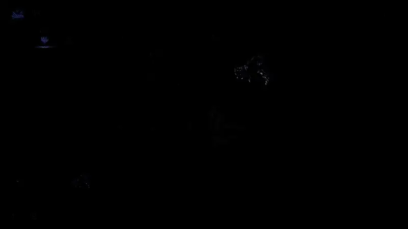 玩家拾取王之证明瞬间，道具散发着金色光芒，背景为战斗后的废墟场景