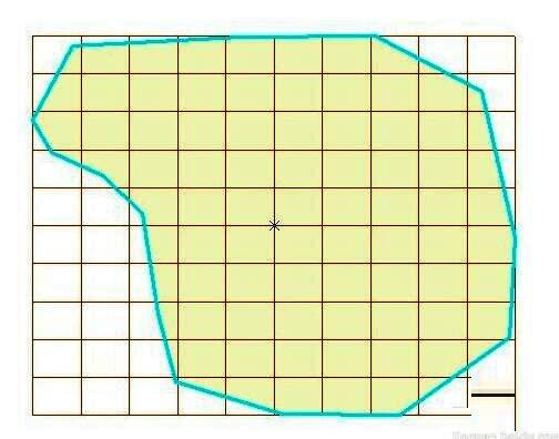 三维视图展示完成的渔网模型，网格结构清晰规整