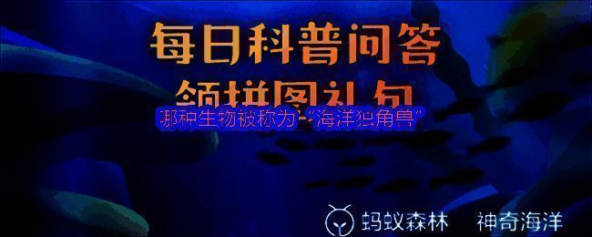 支付宝神奇海洋界面截图，显示每日答题功能入口