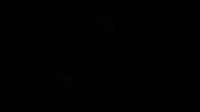 导演亚历克斯·嘉兰接受IGN采访画面，背景为《艾尔登法环》游戏场景