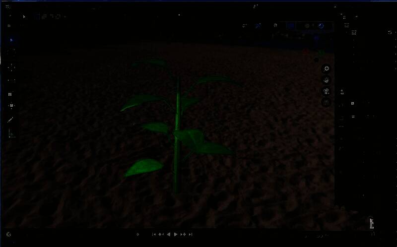 完成建模后的绿油油小树苗展示图