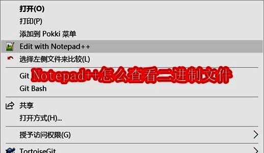 Notepad++打开二进制文件初始界面，显示为乱码字符