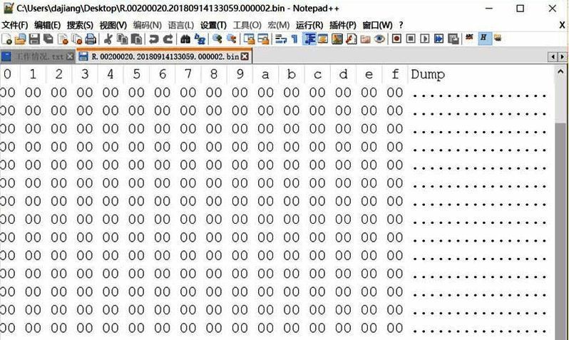 Hex-Editer插件运行界面，左侧显示地址偏移量，中间为十六进制数据，右侧显示ASCII对应字符