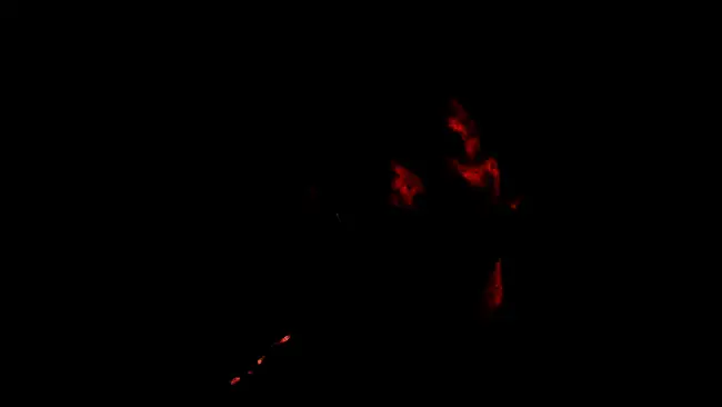 游戏剧情幕后创作访谈现场，Jennifer Svedberg-Yen正在接受采访