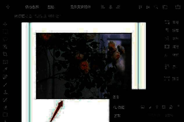 图层面板中双击缩略图打开属性设置窗口的画面截图