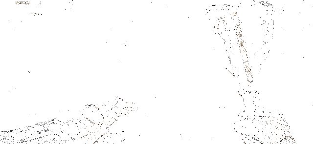 不屈烈怒武器攻击动作迅猛有力，带有强烈打击感特效