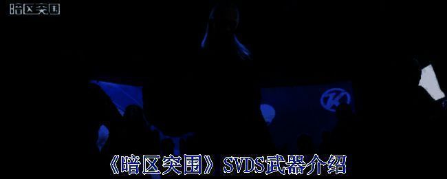 《暗区突围》游戏界面展示SVDS狙击枪外观细节