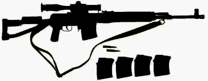 SVDS狙击枪与配套10发弹匣的组合展示