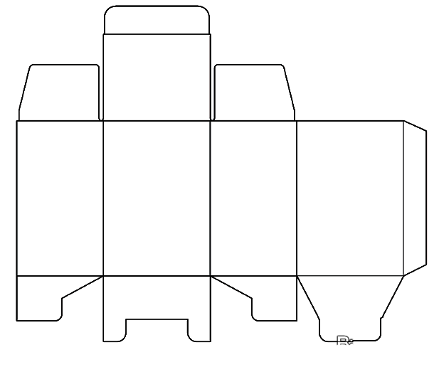完整拼接后的包装展开图预览