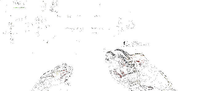 精英指虎检视动画，展现其独特纹理设计