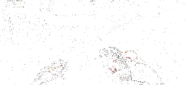 精英指虎实战攻击动作，出拳迅猛有力