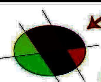 已完成上色处理的多区域图形展示