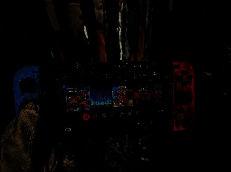 Reddit用户分享的照片显示了一台表面受损但仍能显示游戏库的Nintendo Switch