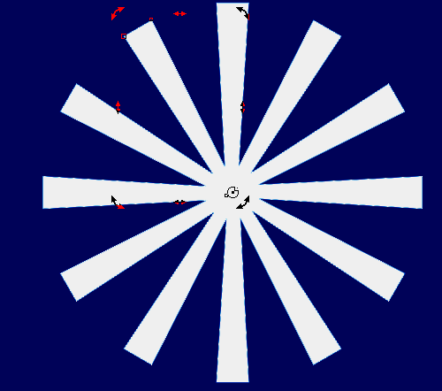 完成全部复制后形成的完整放射结构