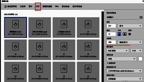 打印相关预设选项，包含标准纸张尺寸
