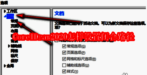 CorelDraw2020主界面展示，右侧选项按钮清晰可见