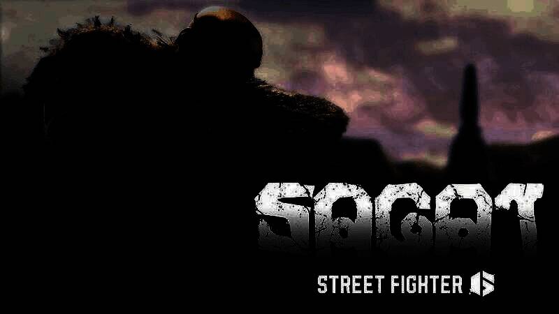 沙加特角色立绘展示，肌肉线条分明，身穿传统战斗服饰