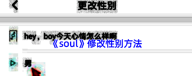 Soul应用内用户资料编辑界面整体视图
