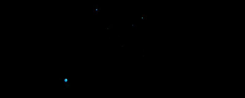 《Aspiel：Edge Of Chaos》游戏实机画面，展现奇幻世界中的战斗场景与精美环境细节